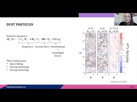 Turbulent protoplanetary disks: new results on gas and dust dynamics - Fabiola Gerosa - 13/02/2023