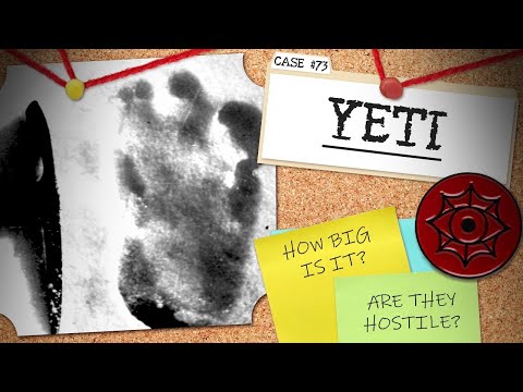 Is There a Creature Living in the Himalayas? | Yeti