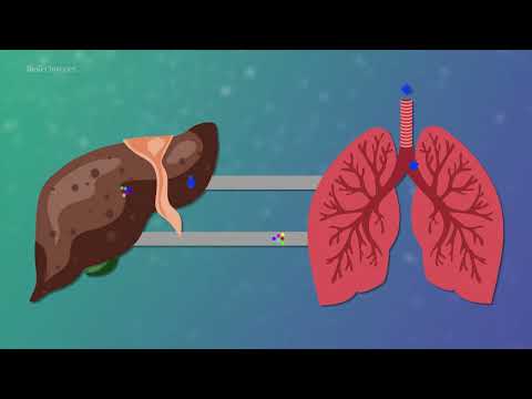 What is organ-on-a-chip technology?