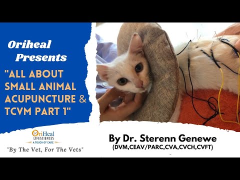 Webinar 1-All About Small Animal Acupuncture &amp; Traditional Chinese Veterinary Medicine By Dr Sterenn